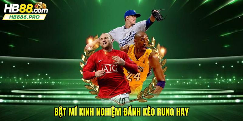 Bật mí kinh nghiệm đánh kèo rung hay
