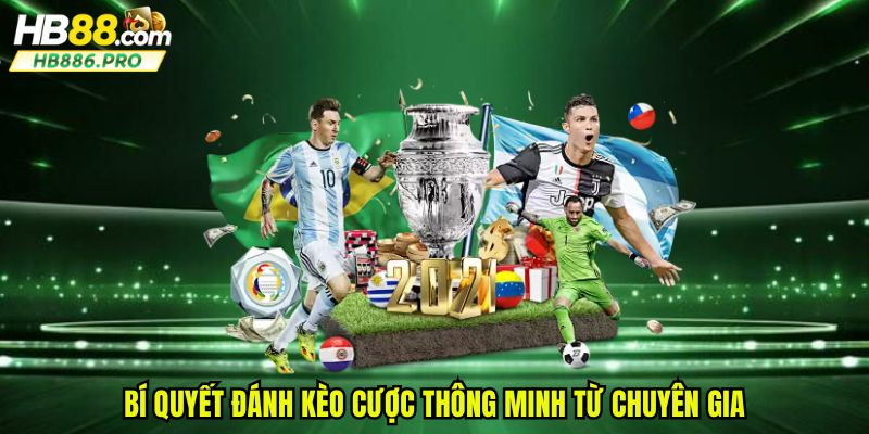 Bí quyết đánh kèo cược thông minh từ chuyên gia